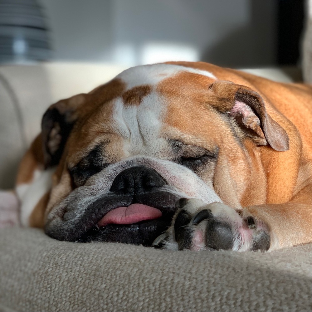 Meet your Posher, Mike